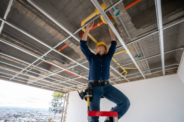 Best Affordable Plumbing Services  in Raubsville, PA